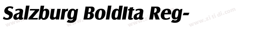Salzburg BoldIta Reg字体转换